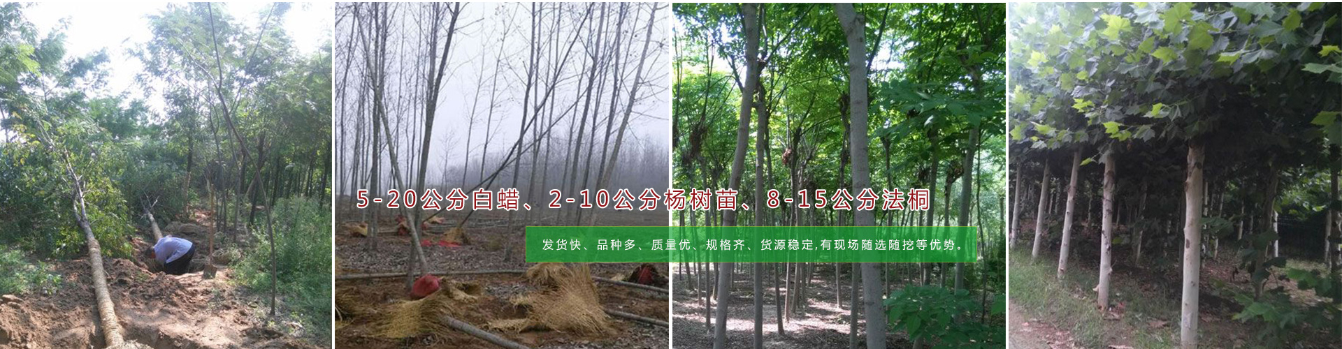 響應式網站建設